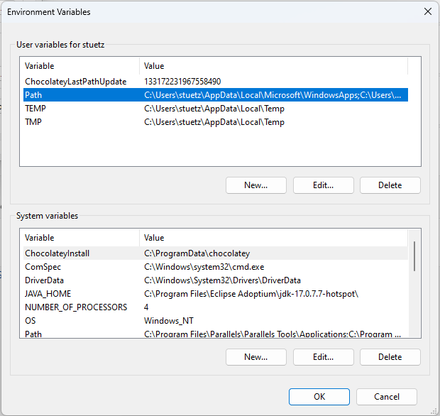 environment variables in windows