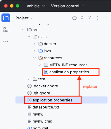 database replace application properties